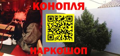 крисы Пенза