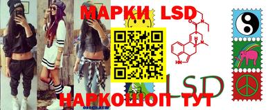 крисы Пенза