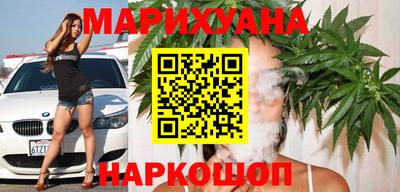 крисы Пенза
