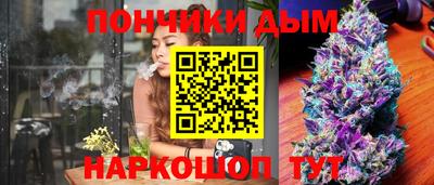 индика Партизанск