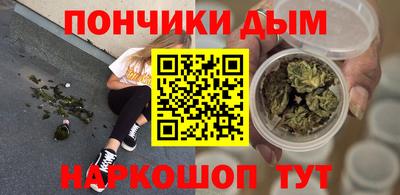 крисы Пенза
