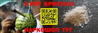 крисы Пенза